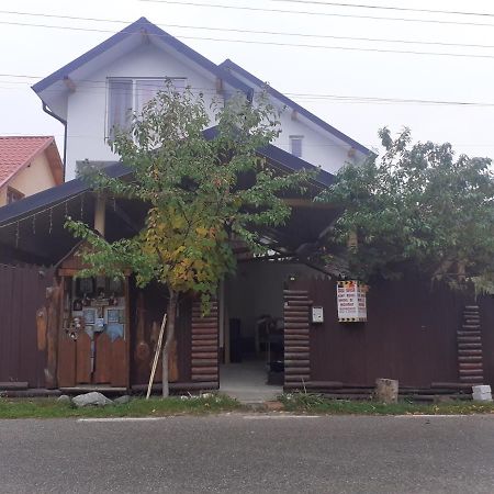 Casa Denisa Vidraru Transfgarasan Hotel Capatineni-Ungureni Exterior photo
